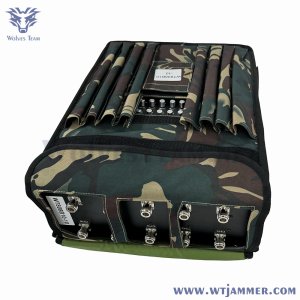 Customizable frequency backpack with diverse styles and 1-10 different requirements